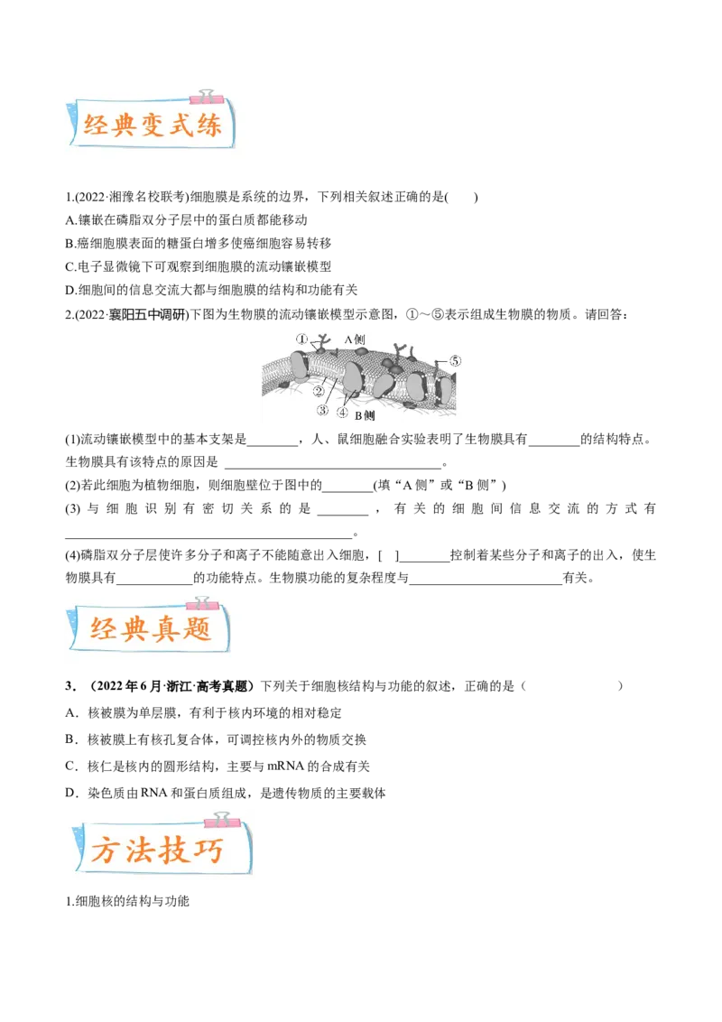 考向02细胞的基本结构-备战2023年高考生物一轮复习考点微专题（全国通用）（原卷版）(1)_通用版（老高考）复习资料_2023年复习资料_一轮复习