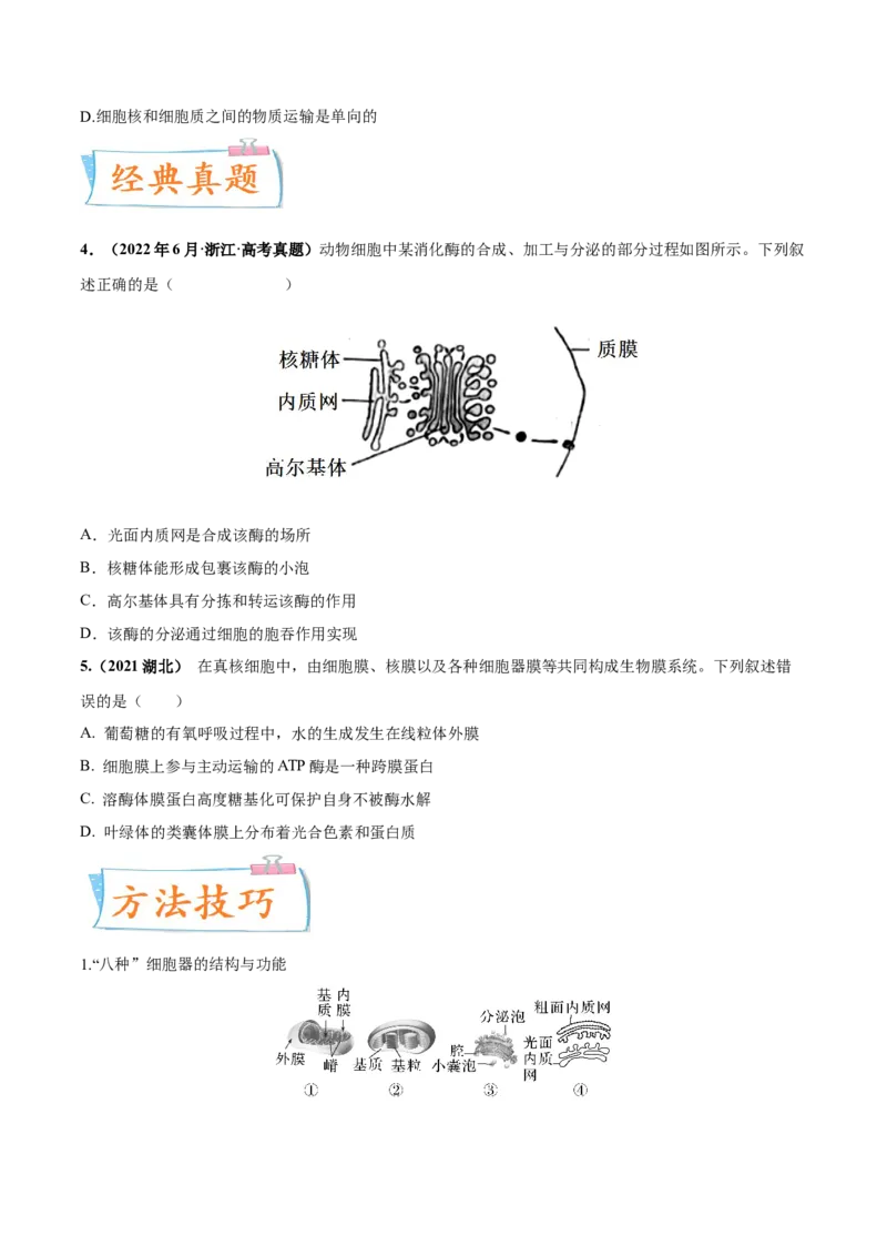 考向02细胞的基本结构-备战2023年高考生物一轮复习考点微专题（全国通用）（原卷版）(1)_通用版（老高考）复习资料_2023年复习资料_一轮复习