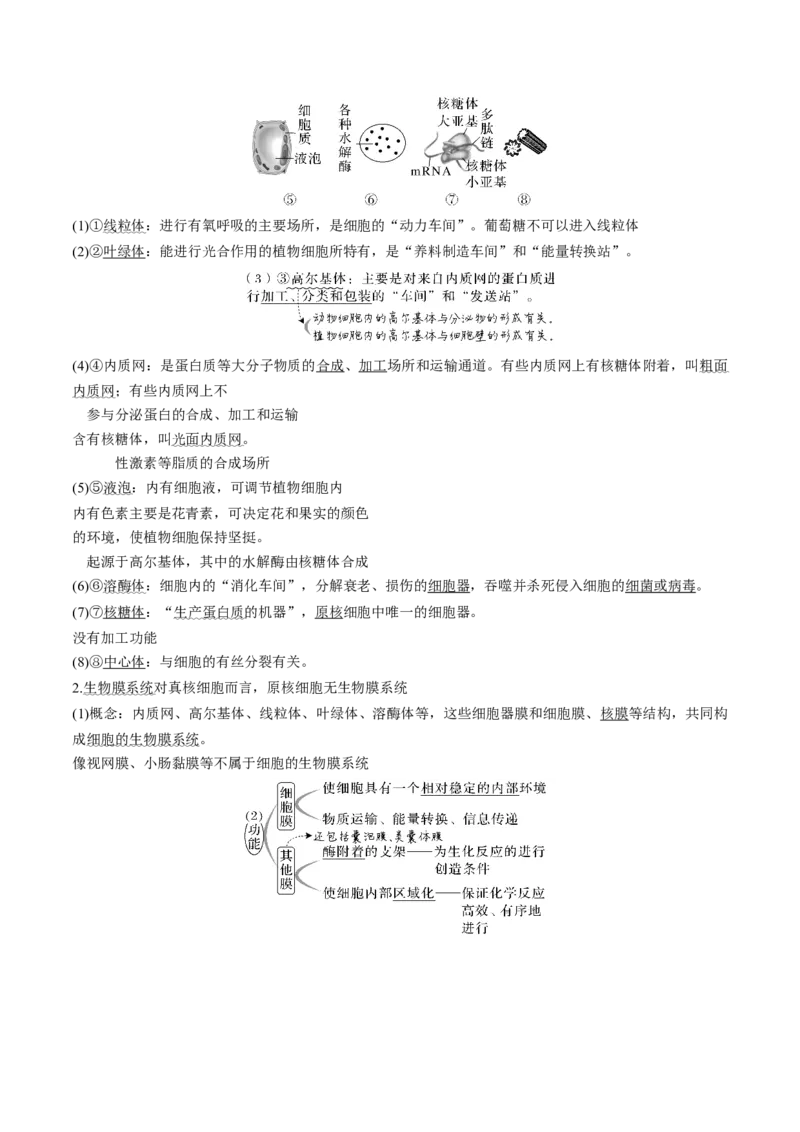 考向02细胞的基本结构-备战2023年高考生物一轮复习考点微专题（全国通用）（原卷版）(1)_通用版（老高考）复习资料_2023年复习资料_一轮复习