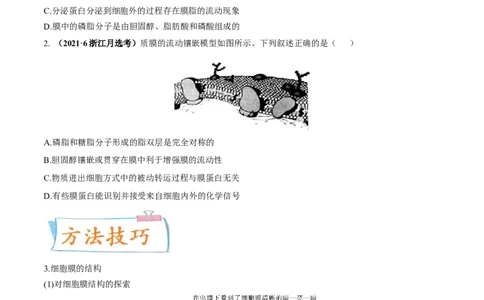 考向02细胞的基本结构-备战2023年高考生物一轮复习考点微专题（全国通用）（原卷版）(1)_通用版（老高考）复习资料_2023年复习资料_一轮复习