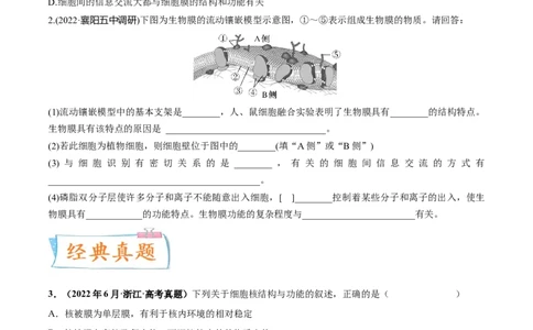 考向02细胞的基本结构-备战2023年高考生物一轮复习考点微专题（全国通用）（原卷版）(1)_通用版（老高考）复习资料_2023年复习资料_一轮复习
