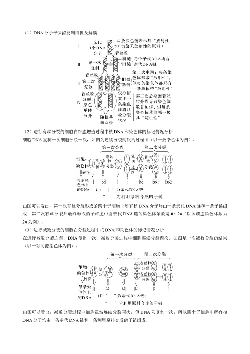 考向12基因的本质-备战2023年高考生物一轮复习考点微专题（全国通用）（原卷版）(1)_通用版（老高考）复习资料_2023年复习资料_一轮复习