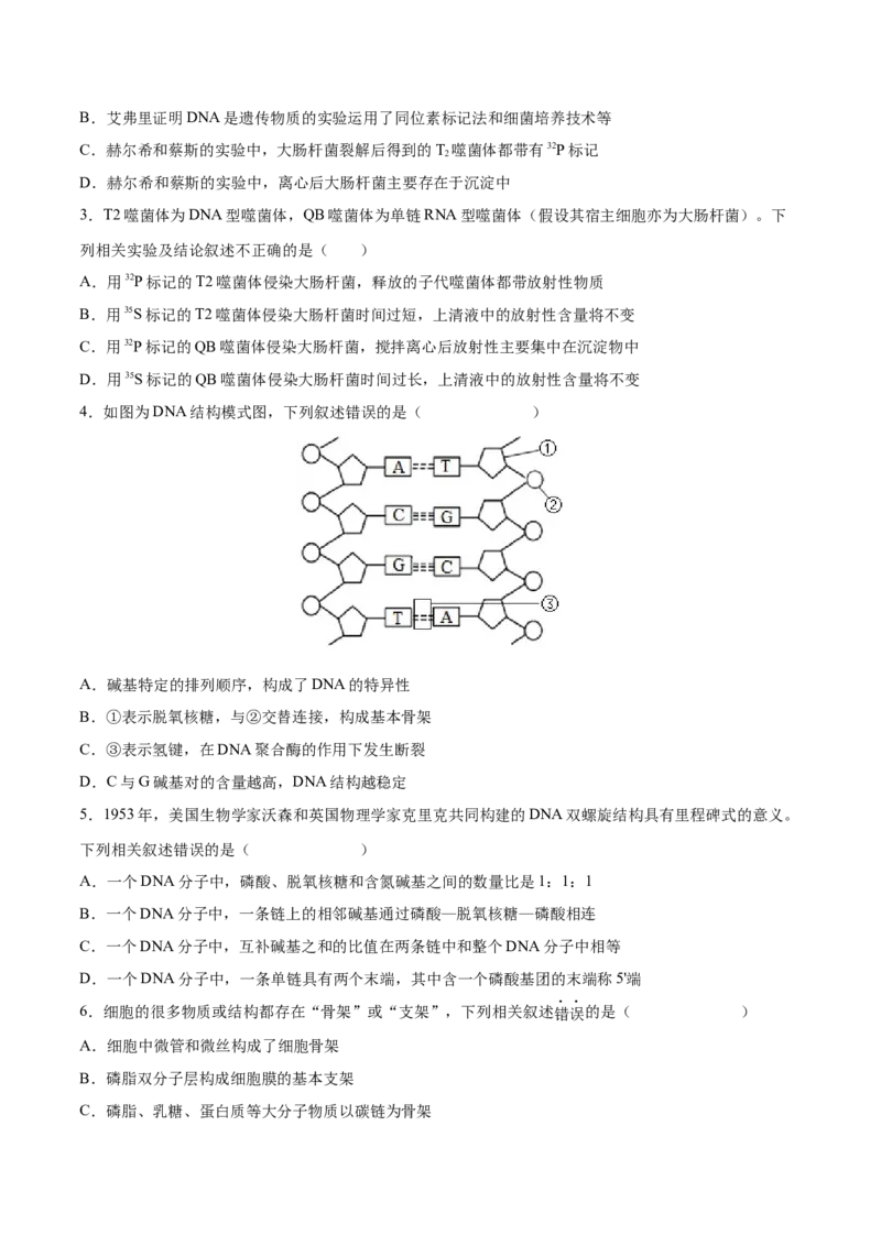 考向12基因的本质-备战2023年高考生物一轮复习考点微专题（全国通用）（原卷版）(1)_通用版（老高考）复习资料_2023年复习资料_一轮复习