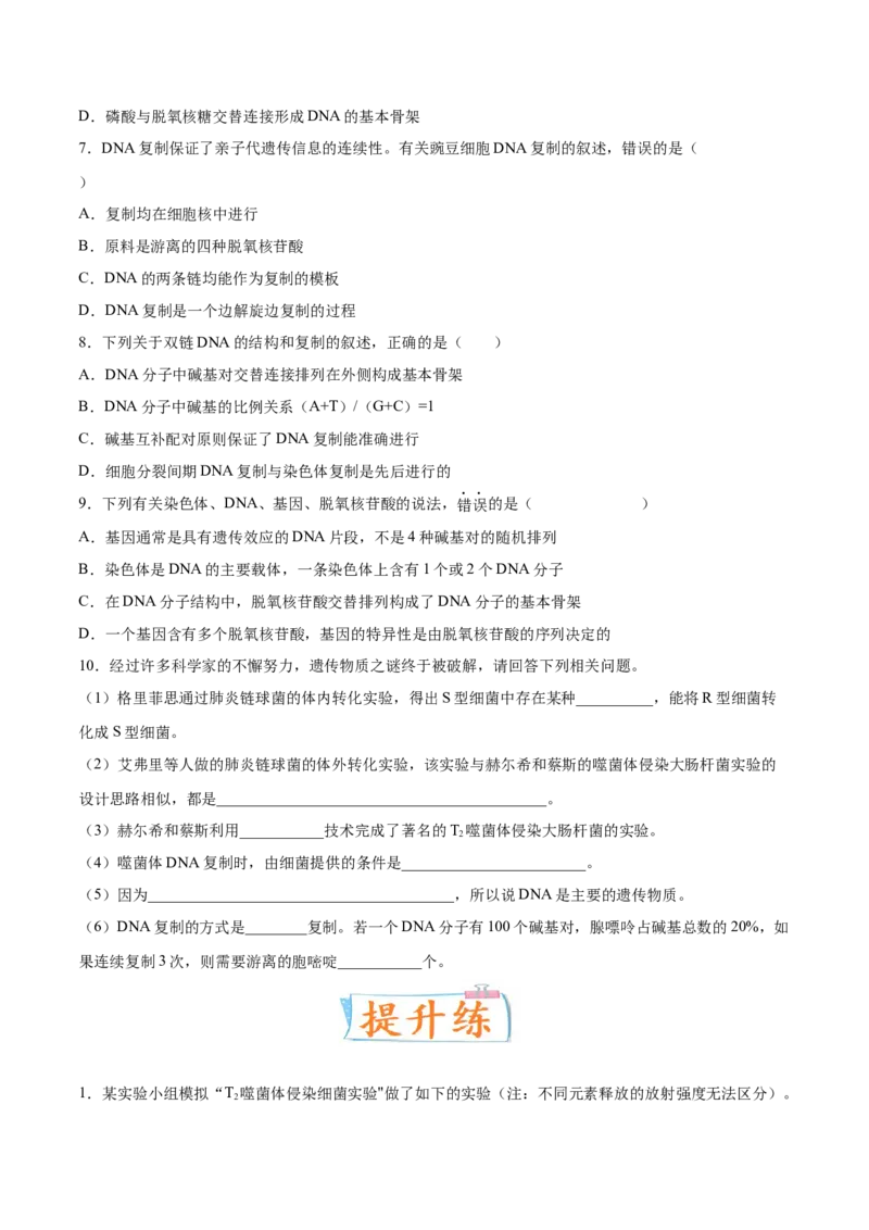 考向12基因的本质-备战2023年高考生物一轮复习考点微专题（全国通用）（原卷版）(1)_通用版（老高考）复习资料_2023年复习资料_一轮复习