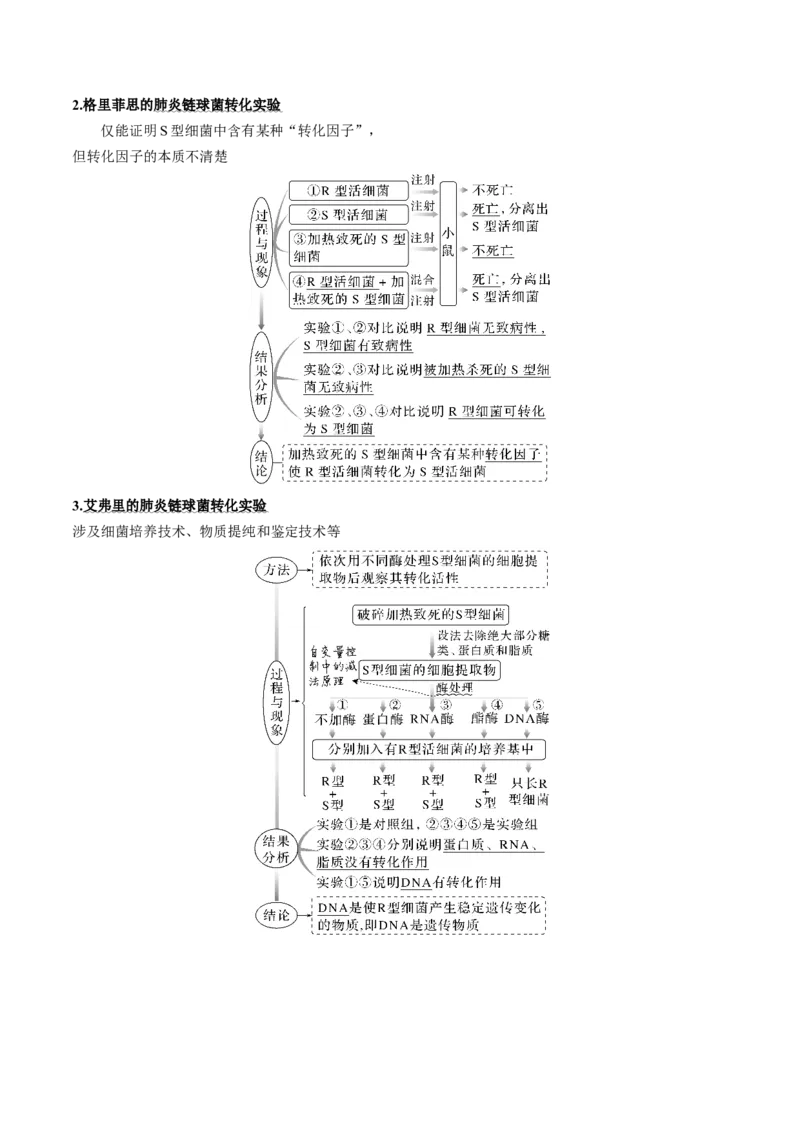 考向12基因的本质-备战2023年高考生物一轮复习考点微专题（全国通用）（原卷版）(1)_通用版（老高考）复习资料_2023年复习资料_一轮复习