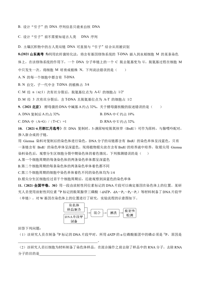 考向12基因的本质-备战2023年高考生物一轮复习考点微专题（全国通用）（原卷版）(1)_通用版（老高考）复习资料_2023年复习资料_一轮复习