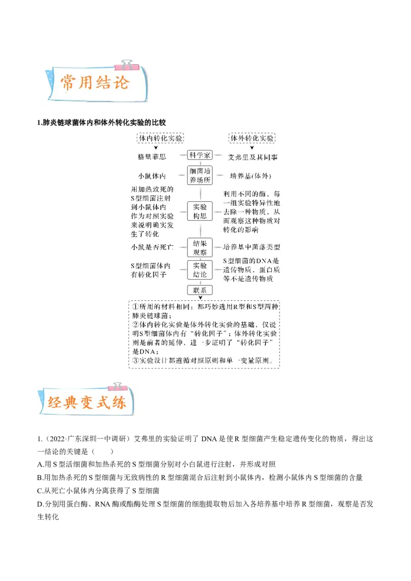 考向12基因的本质-备战2023年高考生物一轮复习考点微专题（全国通用）（原卷版）(1)_通用版（老高考）复习资料_2023年复习资料_一轮复习