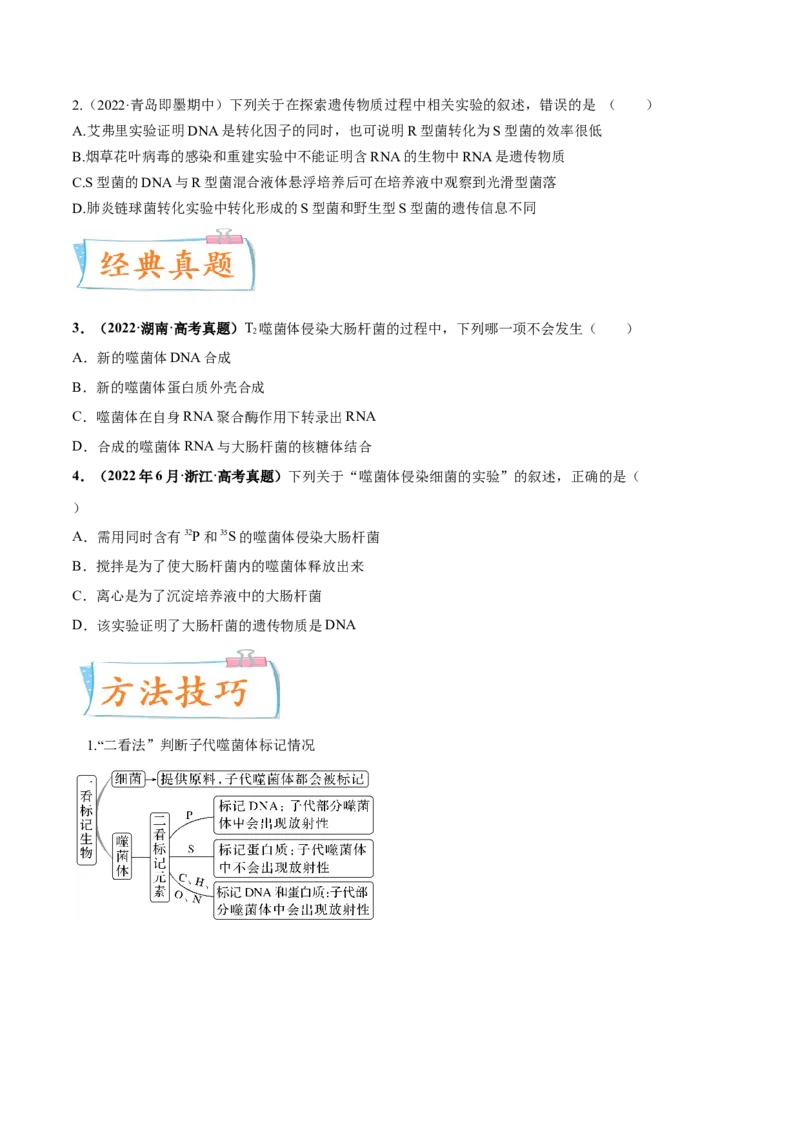 考向12基因的本质-备战2023年高考生物一轮复习考点微专题（全国通用）（原卷版）(1)_通用版（老高考）复习资料_2023年复习资料_一轮复习