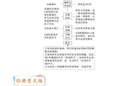 考向12基因的本质-备战2023年高考生物一轮复习考点微专题（全国通用）（原卷版）(1)_通用版（老高考）复习资料_2023年复习资料_一轮复习