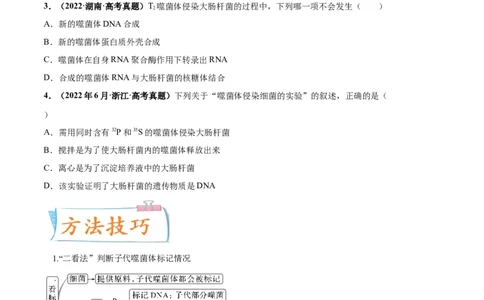 考向12基因的本质-备战2023年高考生物一轮复习考点微专题（全国通用）（原卷版）(1)_通用版（老高考）复习资料_2023年复习资料_一轮复习