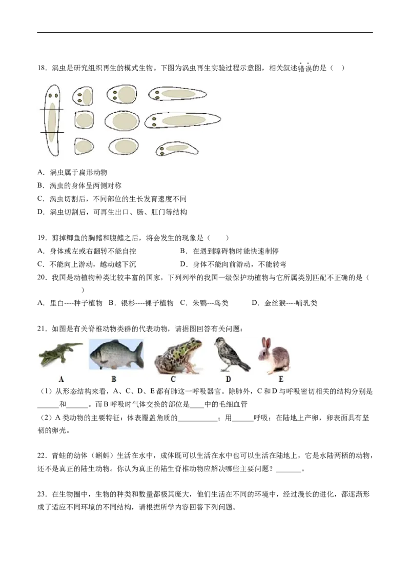 专题15动物的主要类群-2022年中考生物一轮复习抓重点考典型（人教版）（原卷版）_6生物中考复习_2023年中考复习资料_一轮复习_2022年中考生物一轮复习抓重点考典型（人教版）