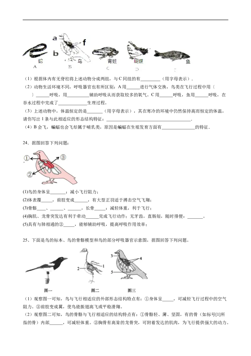 专题15动物的主要类群-2022年中考生物一轮复习抓重点考典型（人教版）（原卷版）_6生物中考复习_2023年中考复习资料_一轮复习_2022年中考生物一轮复习抓重点考典型（人教版）