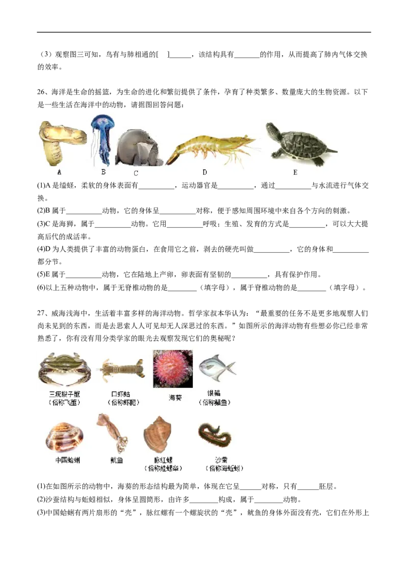 专题15动物的主要类群-2022年中考生物一轮复习抓重点考典型（人教版）（原卷版）_6生物中考复习_2023年中考复习资料_一轮复习_2022年中考生物一轮复习抓重点考典型（人教版）