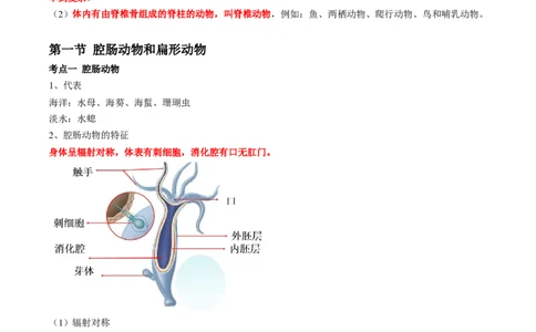 专题15动物的主要类群-2022年中考生物一轮复习抓重点考典型（人教版）（原卷版）_6生物中考复习_2023年中考复习资料_一轮复习_2022年中考生物一轮复习抓重点考典型（人教版）