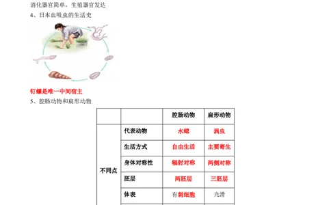 专题15动物的主要类群-2022年中考生物一轮复习抓重点考典型（人教版）（原卷版）_6生物中考复习_2023年中考复习资料_一轮复习_2022年中考生物一轮复习抓重点考典型（人教版）