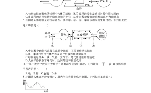 专题13人体的呼吸（原卷版）_6生物中考复习_2024年中考复习资料_一轮复习资料_完精准复习课件精讲ppt+习题精练备战2024年中考生物一轮复习全考点通关_配套练习
