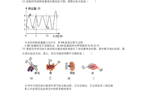 专题13人体的呼吸（原卷版）_6生物中考复习_2024年中考复习资料_一轮复习资料_完精准复习课件精讲ppt+习题精练备战2024年中考生物一轮复习全考点通关_配套练习