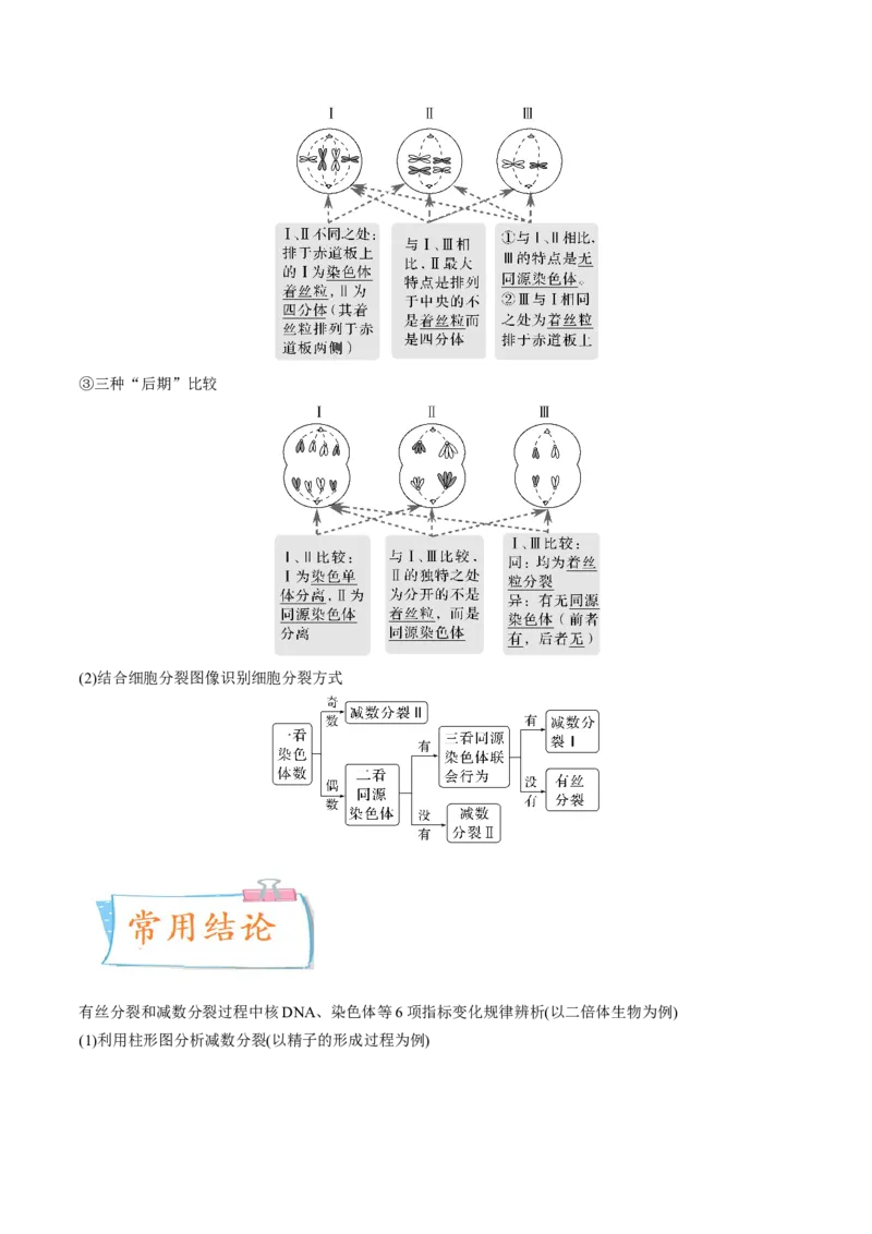 考向08减数分裂和受精作用-备战2023年高考生物一轮复习考点微专题（全国通用）（解析版）_通用版（老高考）复习资料_2023年复习资料_一轮复习