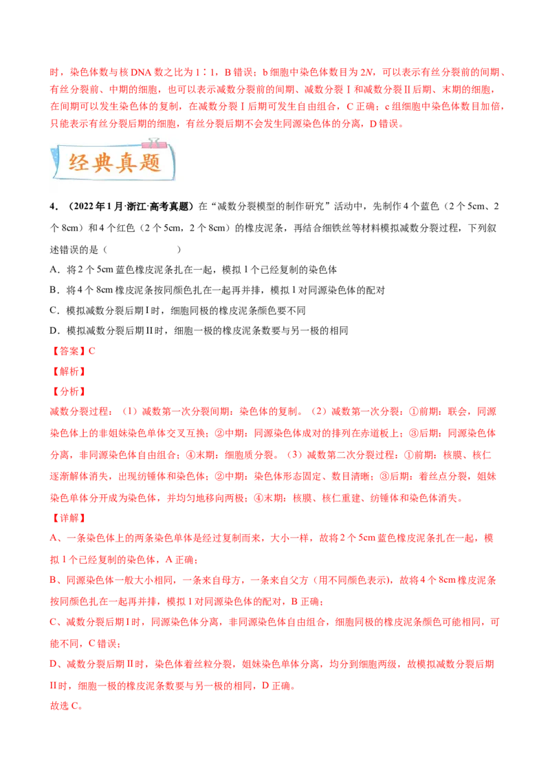考向08减数分裂和受精作用-备战2023年高考生物一轮复习考点微专题（全国通用）（解析版）_通用版（老高考）复习资料_2023年复习资料_一轮复习