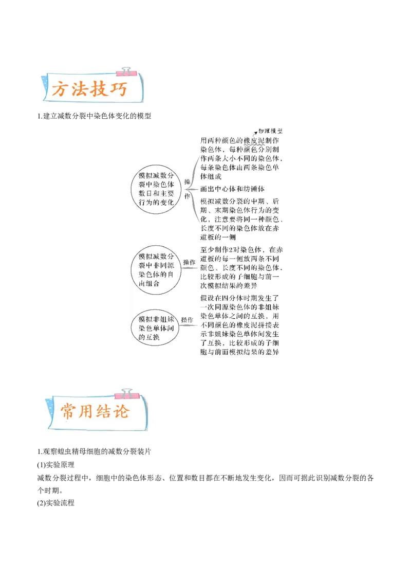 考向08减数分裂和受精作用-备战2023年高考生物一轮复习考点微专题（全国通用）（解析版）_通用版（老高考）复习资料_2023年复习资料_一轮复习