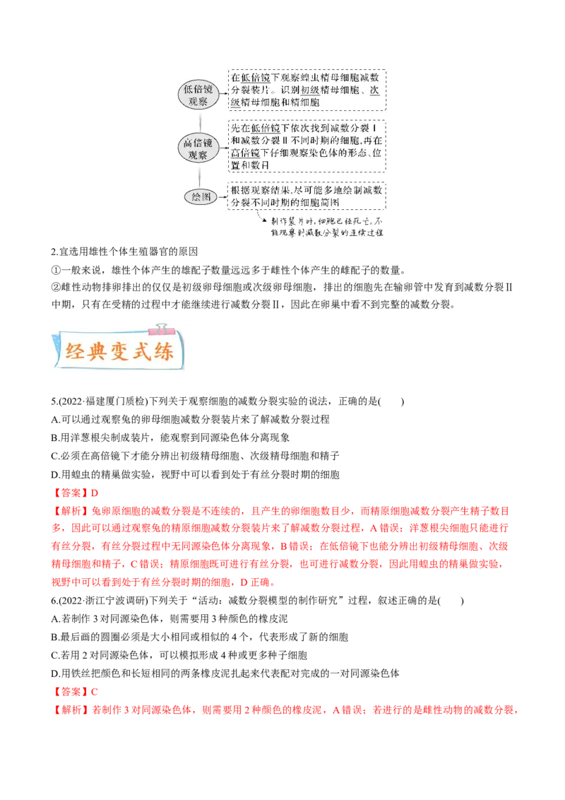 考向08减数分裂和受精作用-备战2023年高考生物一轮复习考点微专题（全国通用）（解析版）_通用版（老高考）复习资料_2023年复习资料_一轮复习