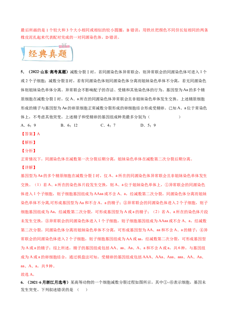 考向08减数分裂和受精作用-备战2023年高考生物一轮复习考点微专题（全国通用）（解析版）_通用版（老高考）复习资料_2023年复习资料_一轮复习
