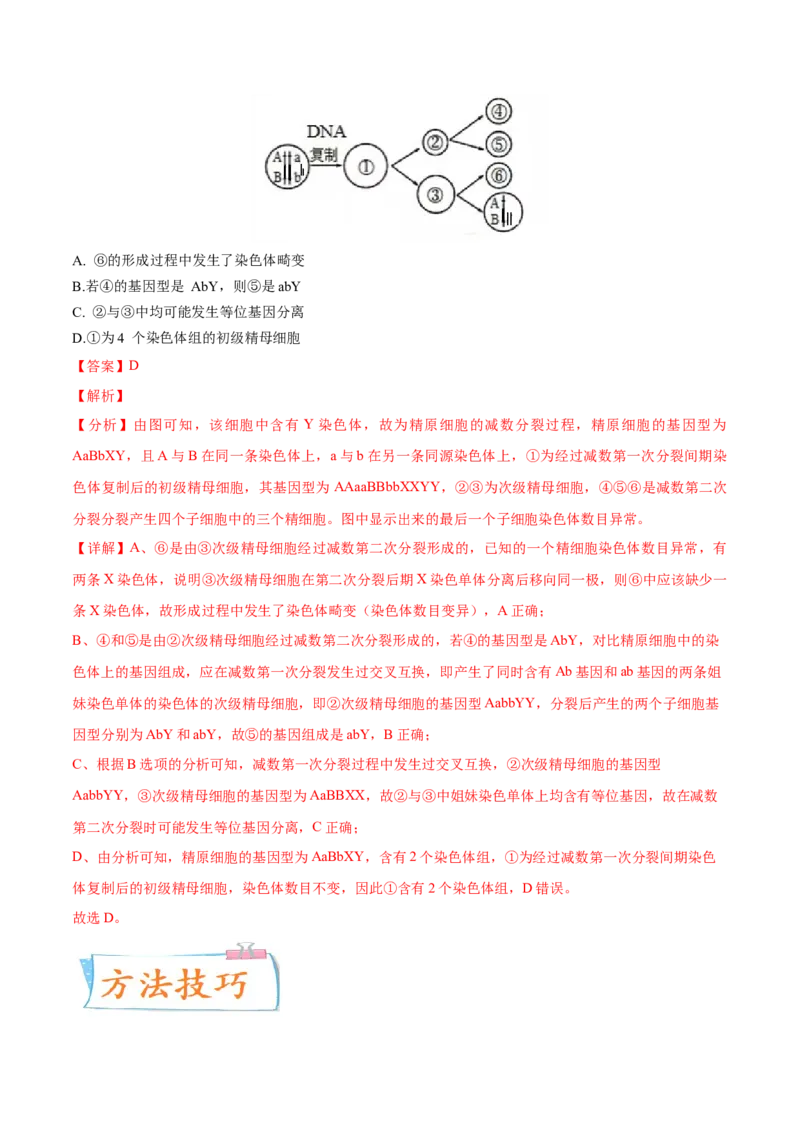 考向08减数分裂和受精作用-备战2023年高考生物一轮复习考点微专题（全国通用）（解析版）_通用版（老高考）复习资料_2023年复习资料_一轮复习