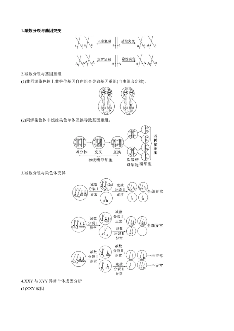 考向08减数分裂和受精作用-备战2023年高考生物一轮复习考点微专题（全国通用）（解析版）_通用版（老高考）复习资料_2023年复习资料_一轮复习