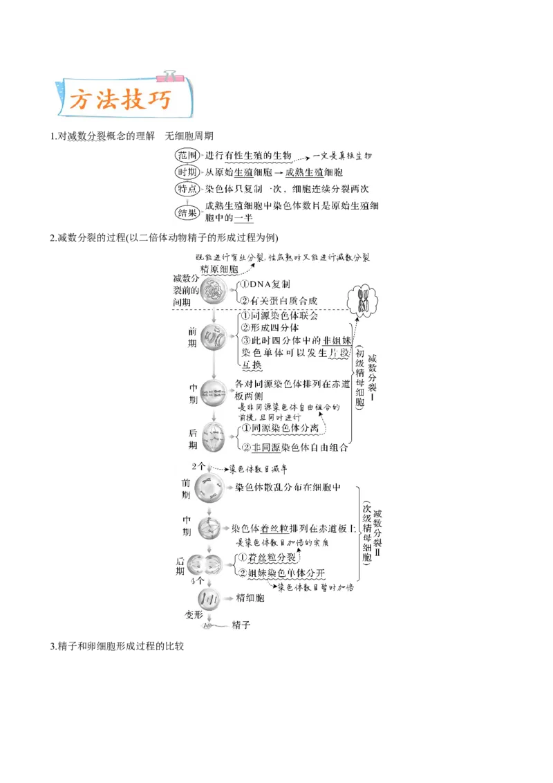 考向08减数分裂和受精作用-备战2023年高考生物一轮复习考点微专题（全国通用）（解析版）_通用版（老高考）复习资料_2023年复习资料_一轮复习