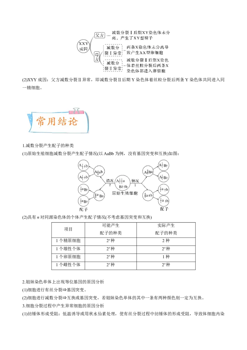 考向08减数分裂和受精作用-备战2023年高考生物一轮复习考点微专题（全国通用）（解析版）_通用版（老高考）复习资料_2023年复习资料_一轮复习