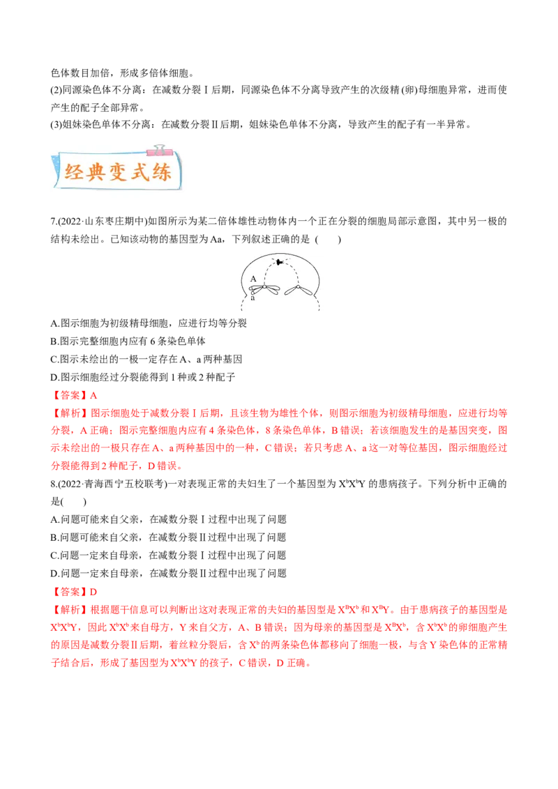 考向08减数分裂和受精作用-备战2023年高考生物一轮复习考点微专题（全国通用）（解析版）_通用版（老高考）复习资料_2023年复习资料_一轮复习