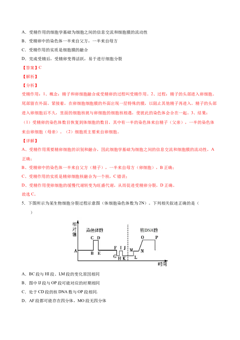 考向08减数分裂和受精作用-备战2023年高考生物一轮复习考点微专题（全国通用）（解析版）_通用版（老高考）复习资料_2023年复习资料_一轮复习