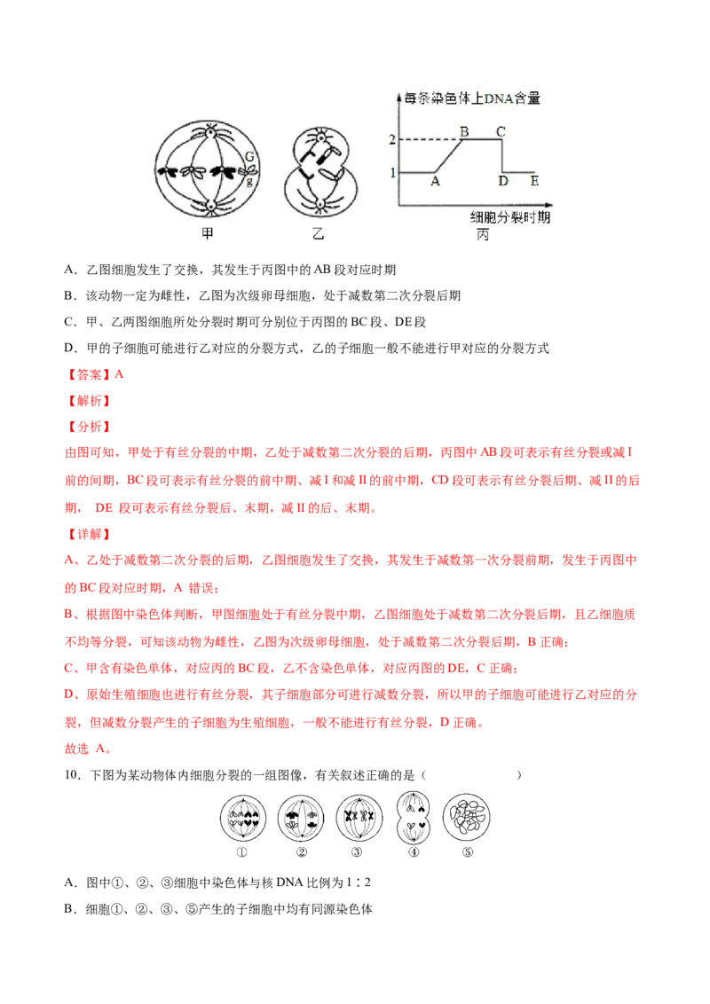 考向08减数分裂和受精作用-备战2023年高考生物一轮复习考点微专题（全国通用）（解析版）_通用版（老高考）复习资料_2023年复习资料_一轮复习