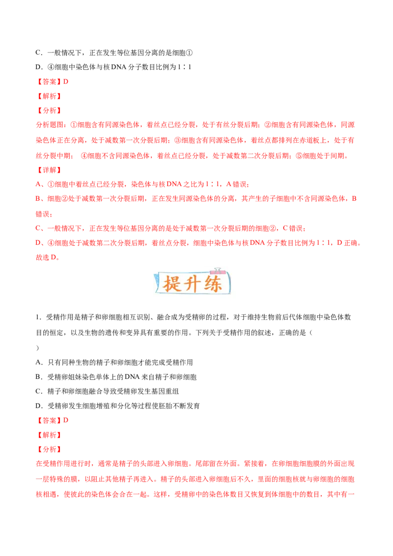 考向08减数分裂和受精作用-备战2023年高考生物一轮复习考点微专题（全国通用）（解析版）_通用版（老高考）复习资料_2023年复习资料_一轮复习