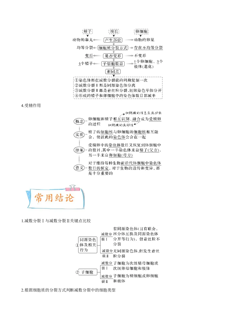 考向08减数分裂和受精作用-备战2023年高考生物一轮复习考点微专题（全国通用）（解析版）_通用版（老高考）复习资料_2023年复习资料_一轮复习