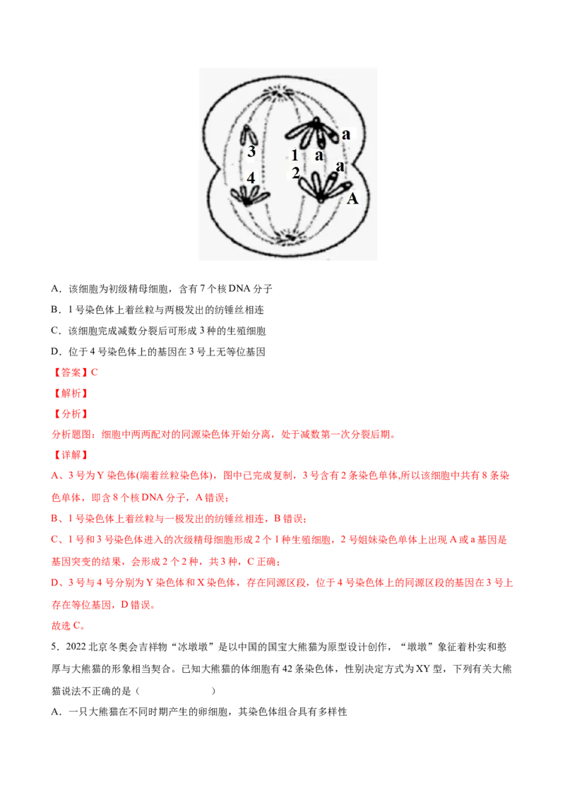 考向08减数分裂和受精作用-备战2023年高考生物一轮复习考点微专题（全国通用）（解析版）_通用版（老高考）复习资料_2023年复习资料_一轮复习