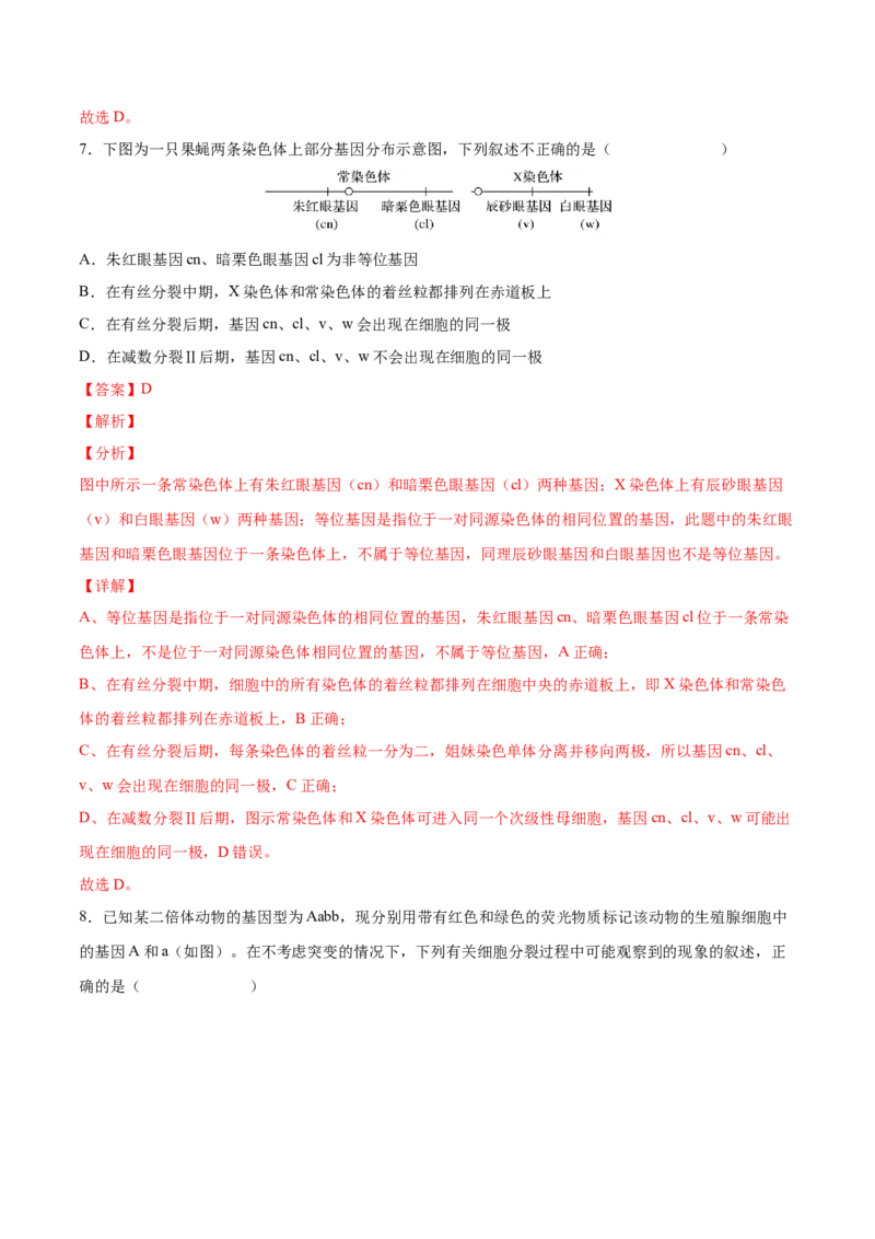考向08减数分裂和受精作用-备战2023年高考生物一轮复习考点微专题（全国通用）（解析版）_通用版（老高考）复习资料_2023年复习资料_一轮复习