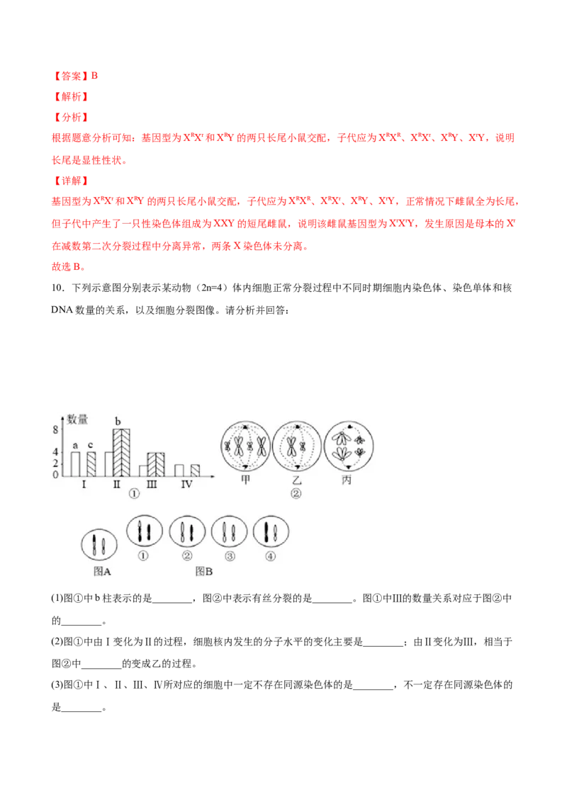 考向08减数分裂和受精作用-备战2023年高考生物一轮复习考点微专题（全国通用）（解析版）_通用版（老高考）复习资料_2023年复习资料_一轮复习