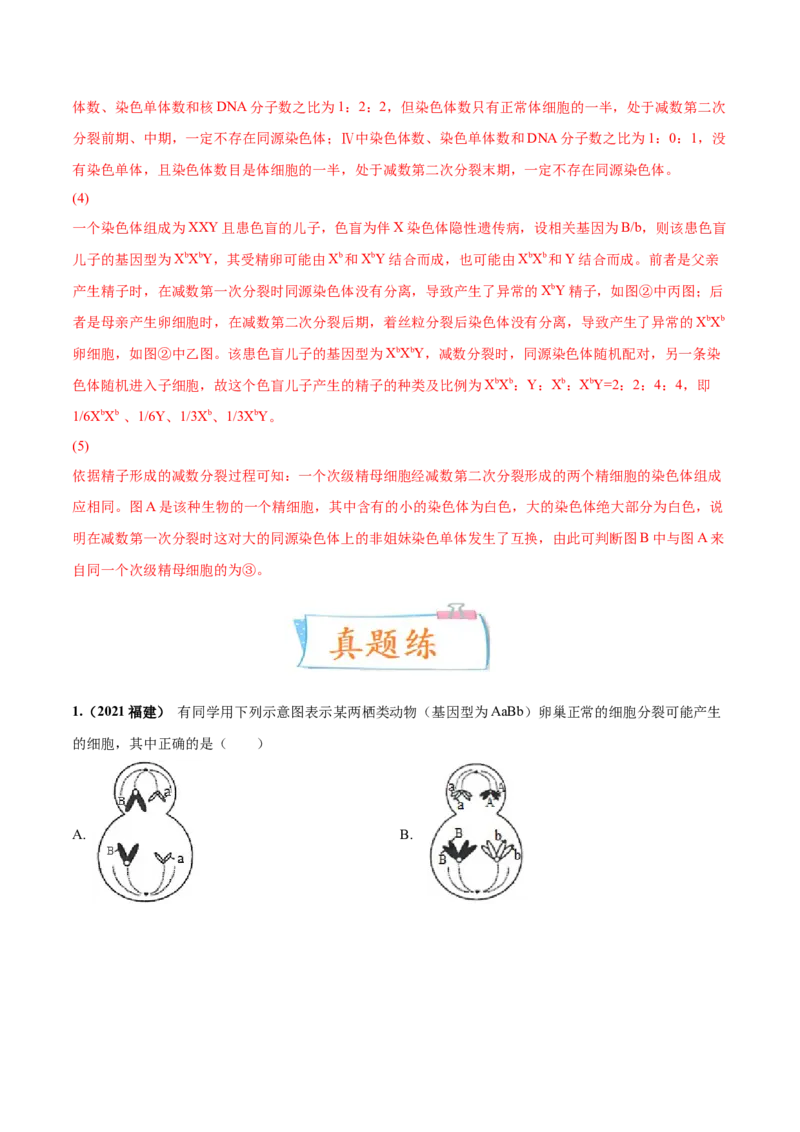 考向08减数分裂和受精作用-备战2023年高考生物一轮复习考点微专题（全国通用）（解析版）_通用版（老高考）复习资料_2023年复习资料_一轮复习