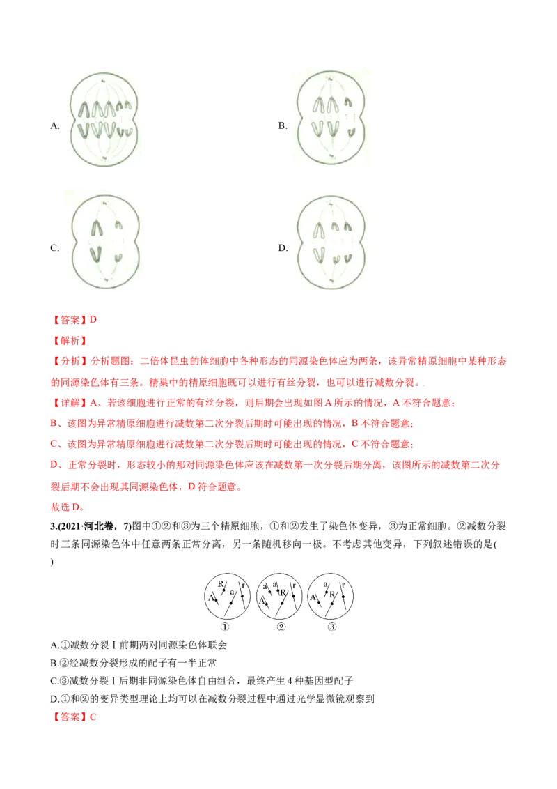 考向08减数分裂和受精作用-备战2023年高考生物一轮复习考点微专题（全国通用）（解析版）_通用版（老高考）复习资料_2023年复习资料_一轮复习