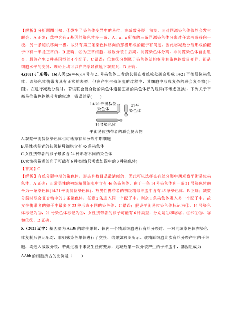 考向08减数分裂和受精作用-备战2023年高考生物一轮复习考点微专题（全国通用）（解析版）_通用版（老高考）复习资料_2023年复习资料_一轮复习