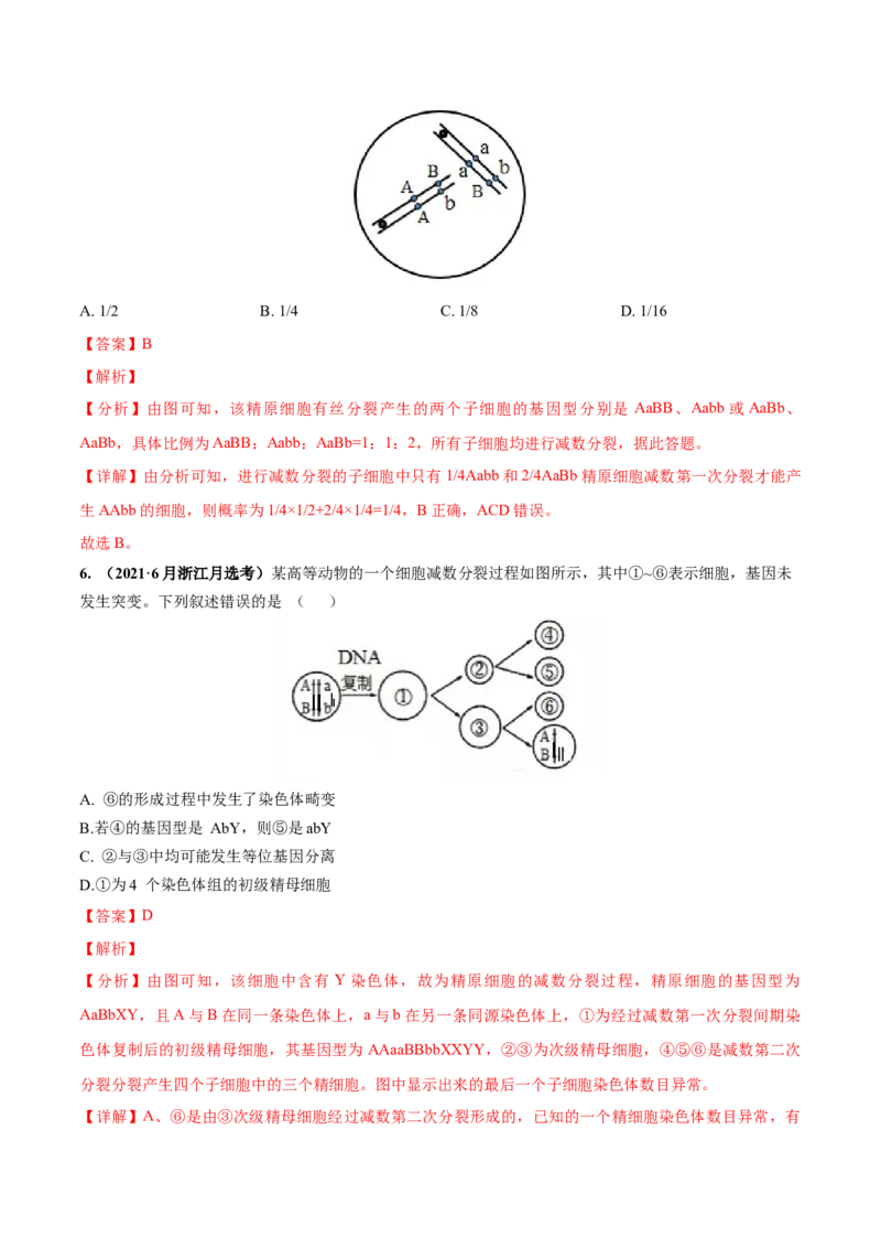 考向08减数分裂和受精作用-备战2023年高考生物一轮复习考点微专题（全国通用）（解析版）_通用版（老高考）复习资料_2023年复习资料_一轮复习