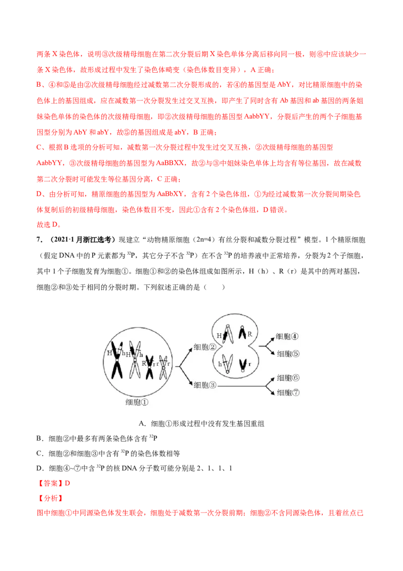考向08减数分裂和受精作用-备战2023年高考生物一轮复习考点微专题（全国通用）（解析版）_通用版（老高考）复习资料_2023年复习资料_一轮复习