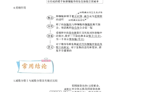 考向08减数分裂和受精作用-备战2023年高考生物一轮复习考点微专题（全国通用）（解析版）_通用版（老高考）复习资料_2023年复习资料_一轮复习