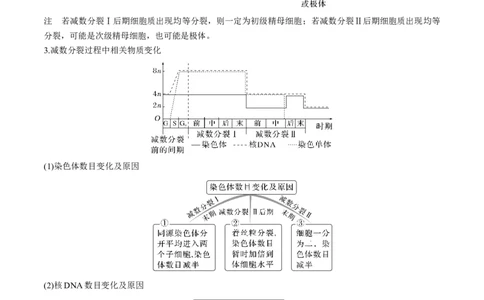 考向08减数分裂和受精作用-备战2023年高考生物一轮复习考点微专题（全国通用）（解析版）_通用版（老高考）复习资料_2023年复习资料_一轮复习