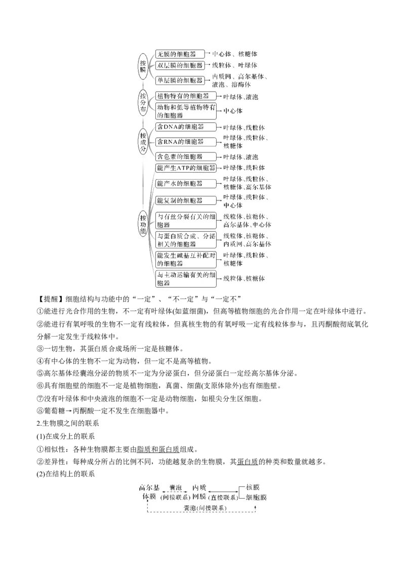 考向02细胞的基本结构-备战2023年高考生物一轮复习考点微专题（全国通用）（解析版）_通用版（老高考）复习资料_2023年复习资料_一轮复习