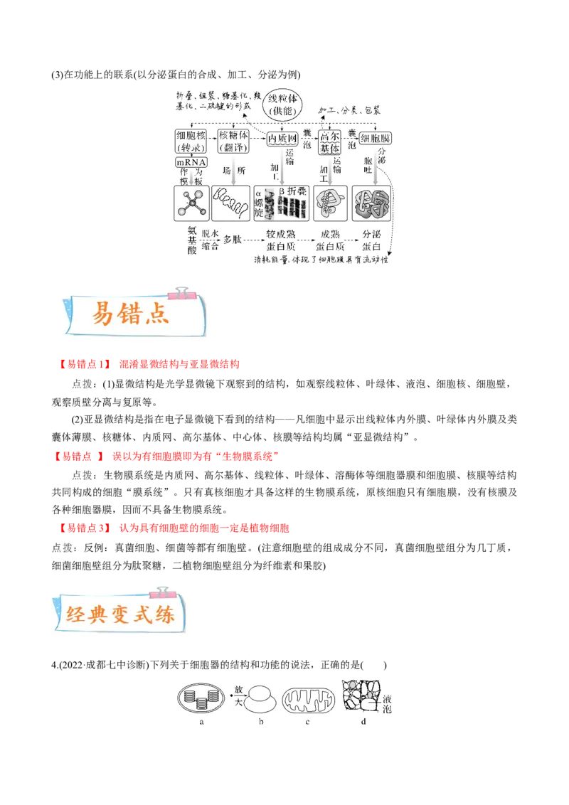 考向02细胞的基本结构-备战2023年高考生物一轮复习考点微专题（全国通用）（解析版）_通用版（老高考）复习资料_2023年复习资料_一轮复习