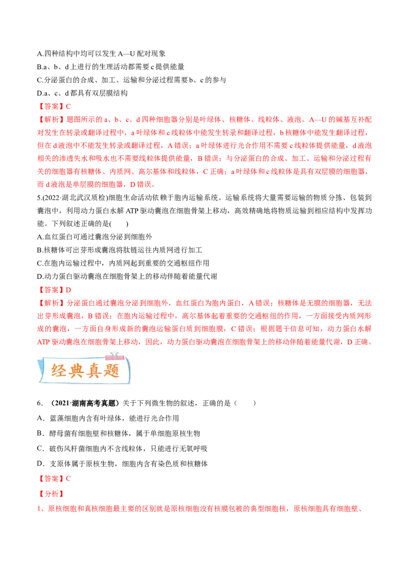 考向02细胞的基本结构-备战2023年高考生物一轮复习考点微专题（全国通用）（解析版）_通用版（老高考）复习资料_2023年复习资料_一轮复习