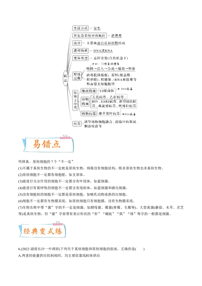 考向02细胞的基本结构-备战2023年高考生物一轮复习考点微专题（全国通用）（解析版）_通用版（老高考）复习资料_2023年复习资料_一轮复习
