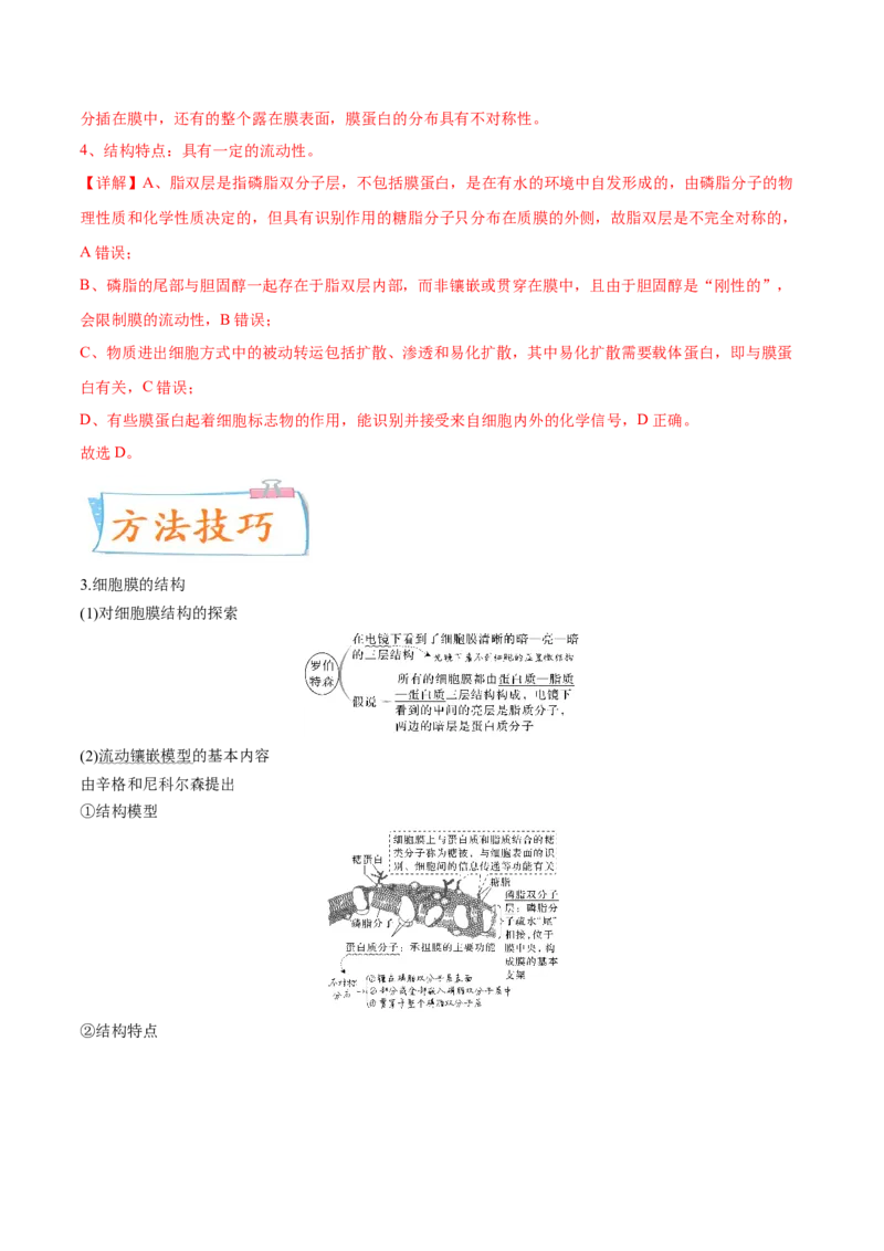 考向02细胞的基本结构-备战2023年高考生物一轮复习考点微专题（全国通用）（解析版）_通用版（老高考）复习资料_2023年复习资料_一轮复习